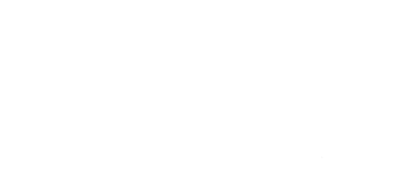 mc master logo white
